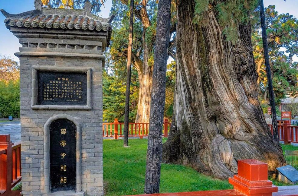 紅木家具圖片 紅木家具圖片