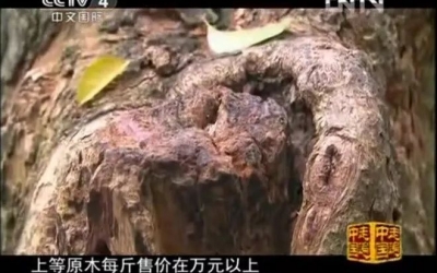 央視：男子18萬收800多斤黃花梨，現(xiàn)在1000萬都不賣！市價(jià)1.6萬一斤